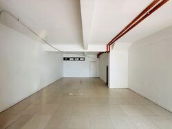 Tiong Bahru Orchid (D3), Shop House #567994461